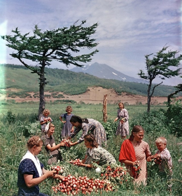 Фотографии из прошлого нашей страны – 112