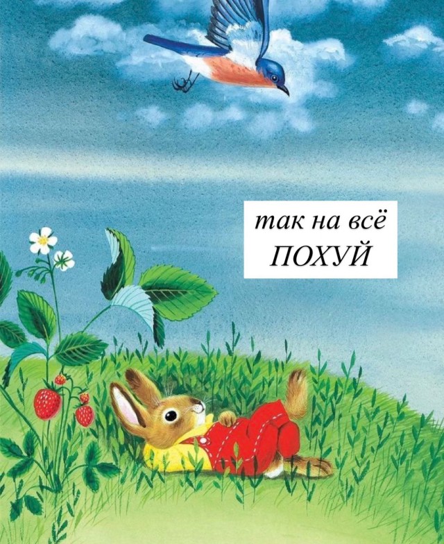 Так себе картинки 10.08.25