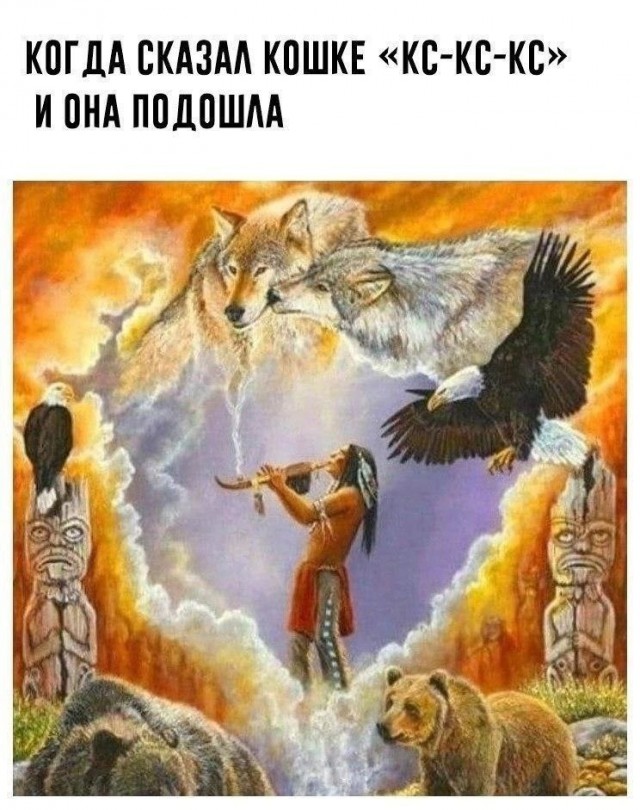 Так себе картинки 13.08.25