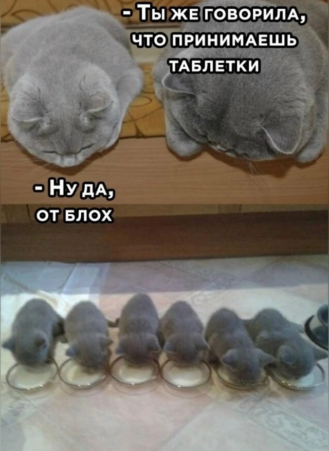 Так себе картинки 03.09.25