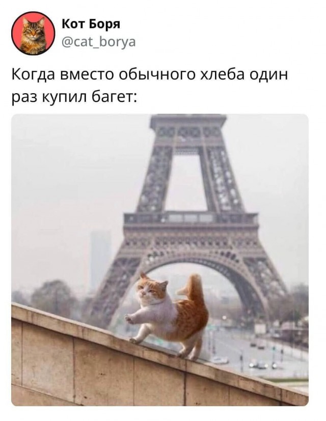 Так себе картинки 26.09.25