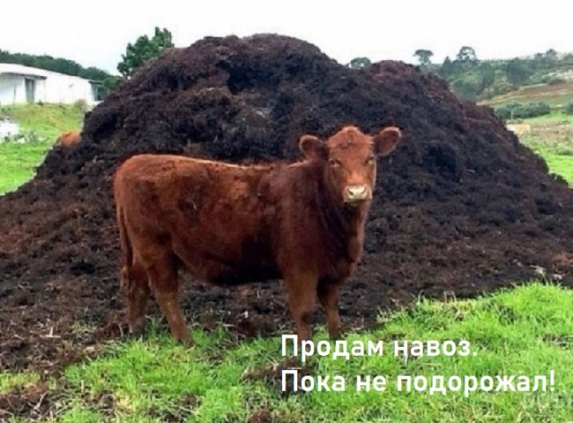 В России резко взлетят цены на сахар