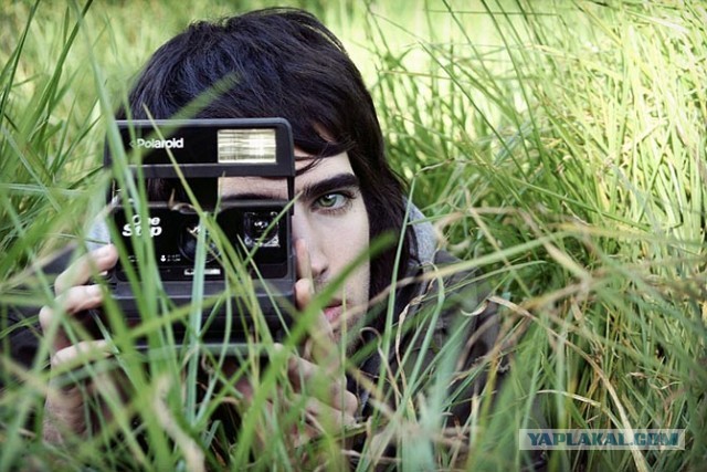 Факты о Polaroid