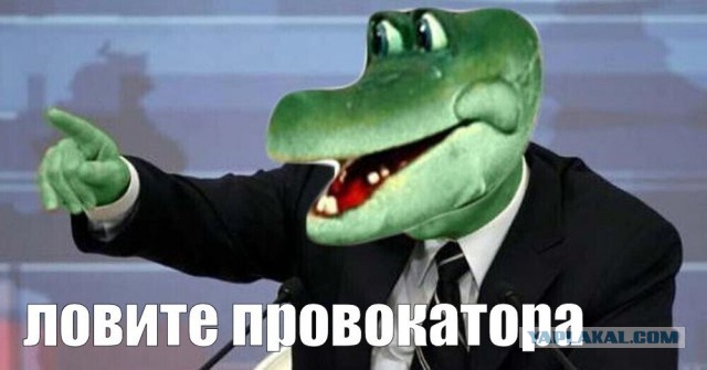 Внес свой вклад в развитие портала