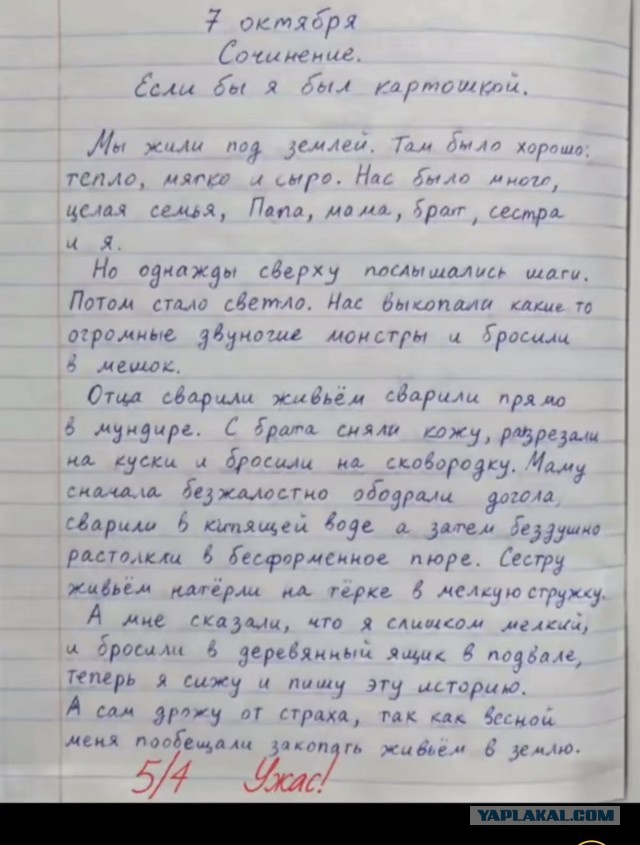 *БАЯН*Если бы я был картошкой
