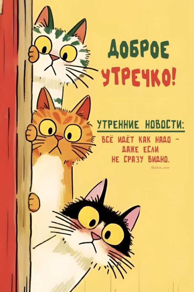 Прикольные и просто красивые картинки 16.10.2026