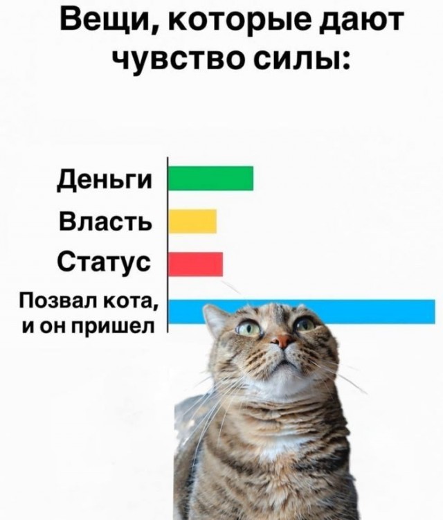 Веселые картинки в маленькую пятницу (21.10)
