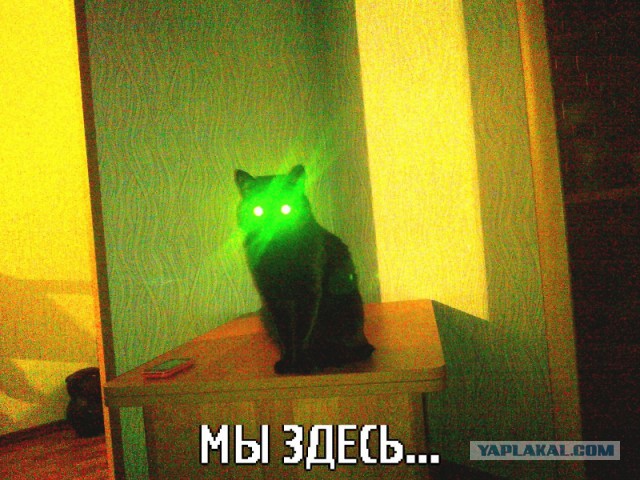 Не про олимпиаду