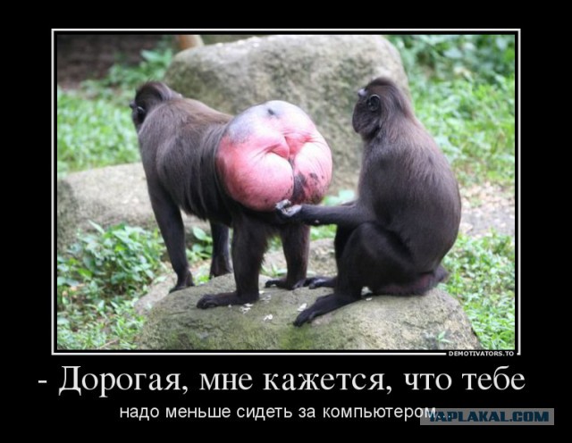 Подборка позитивных картинок на выходные