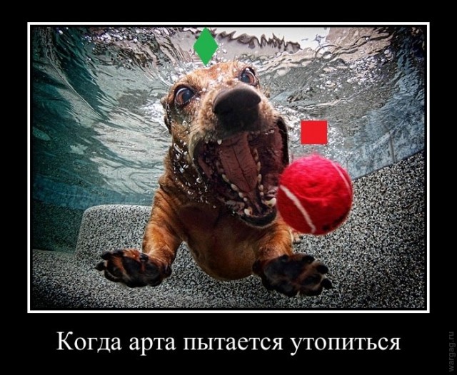 Wargaming 12, WoT сотоварищи