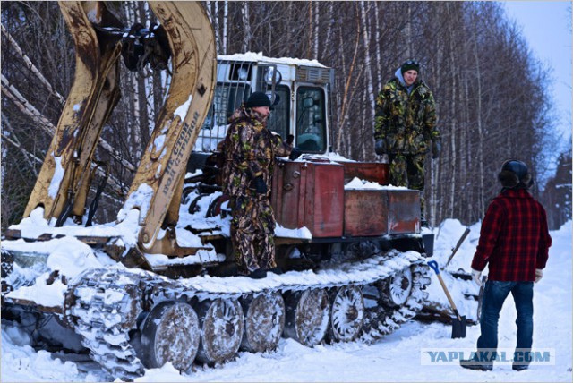 Сибирская резня бензопилой