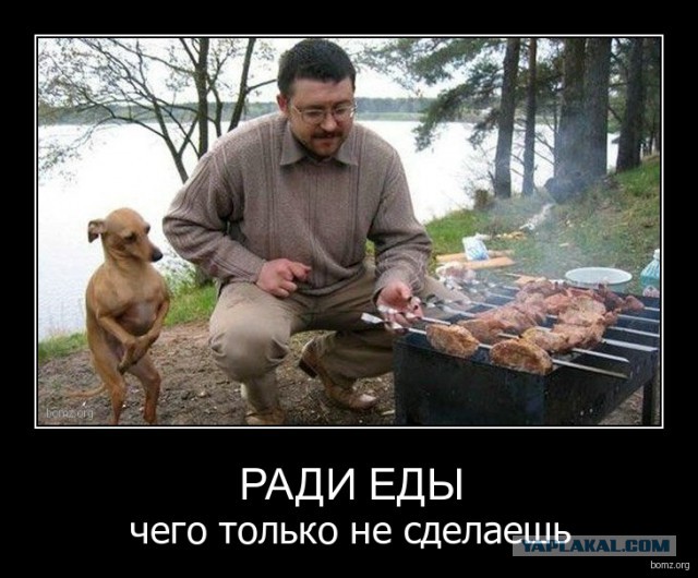 Чёрт, чёрт, чёрт!