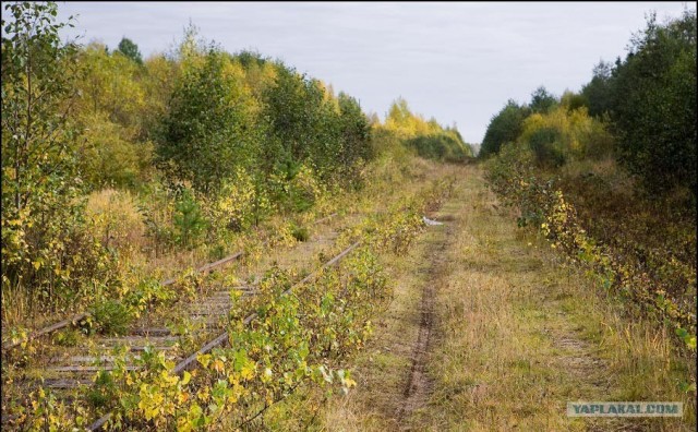 Заброшенная колония в Архангельской обл.