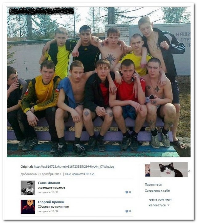 Смешные комментарии из социальных сетей