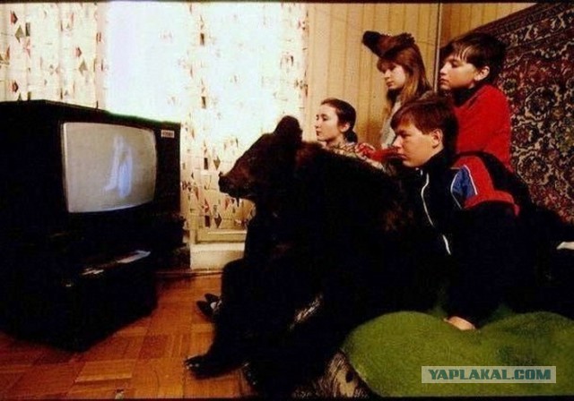 Не совсем здоровые люди из соцсетей....