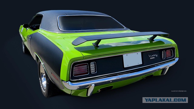 Muscle cars. История сумасшествия