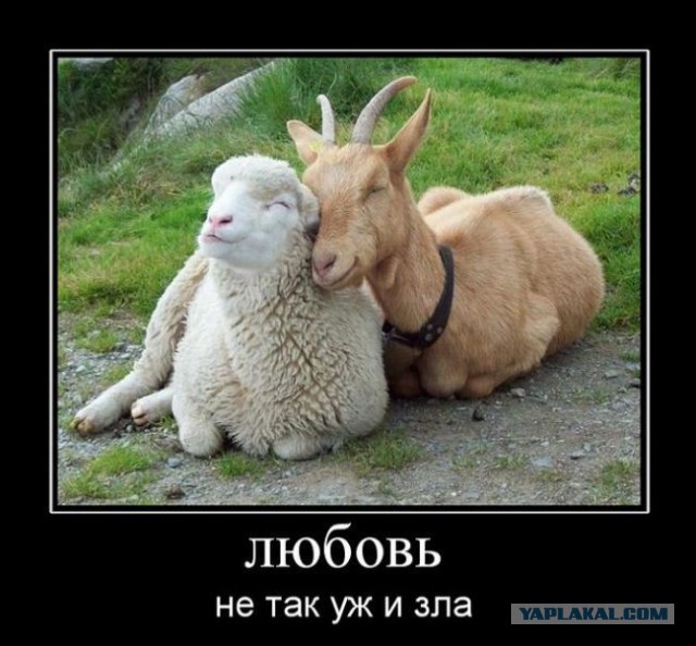 Подборка баянов.