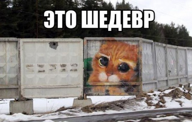 Демы без Темы