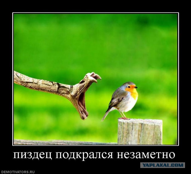Стремительный бросок