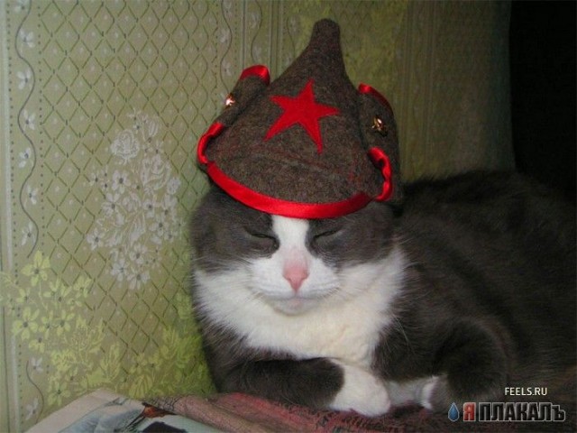 Внимание! У Ликоса пропала совесть!