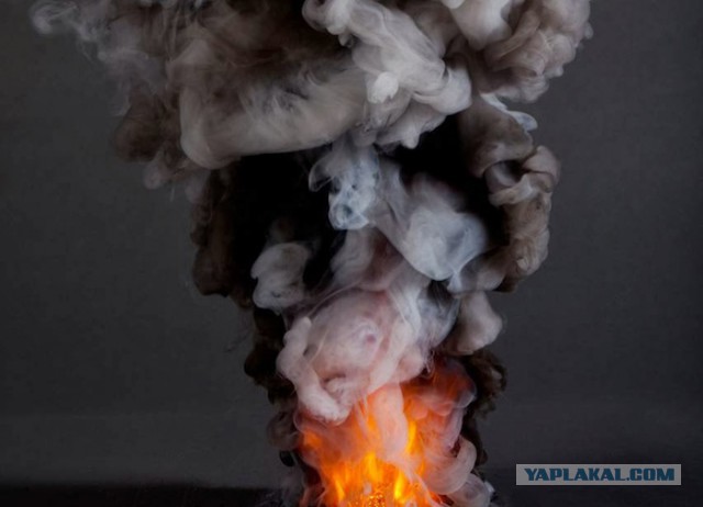 Валентина Петренко: В России некоторые охотнее сядут, чем пойдут работать