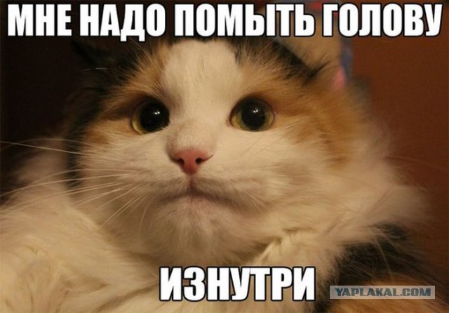 Такого я еще не встречал
