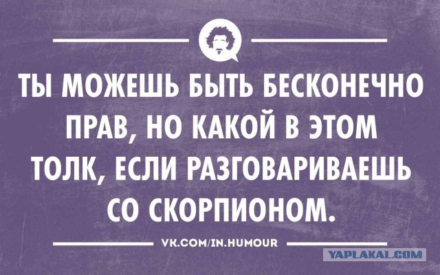 Факты о скорпионах, о которых вы могли не знать