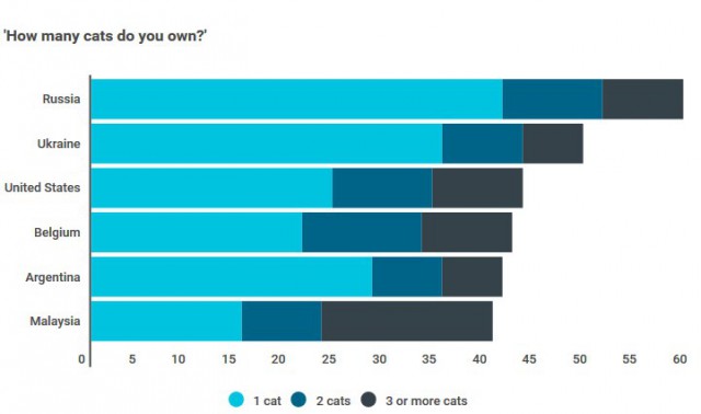 Россия оказалась на первом месте в мире по числу кошатников