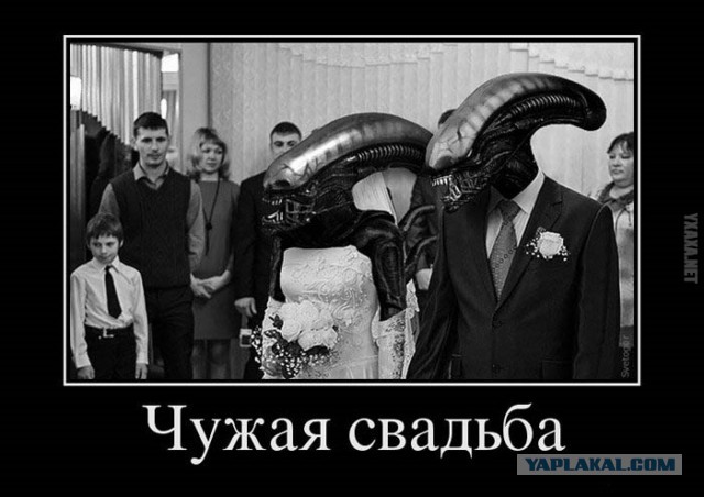 Пост аморального тупежа к этим выходным