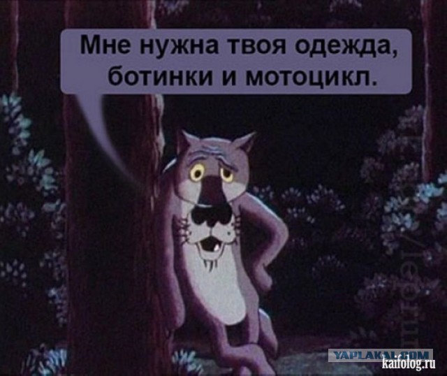 Смешные комментарии из социальных сетей 28.04.2017