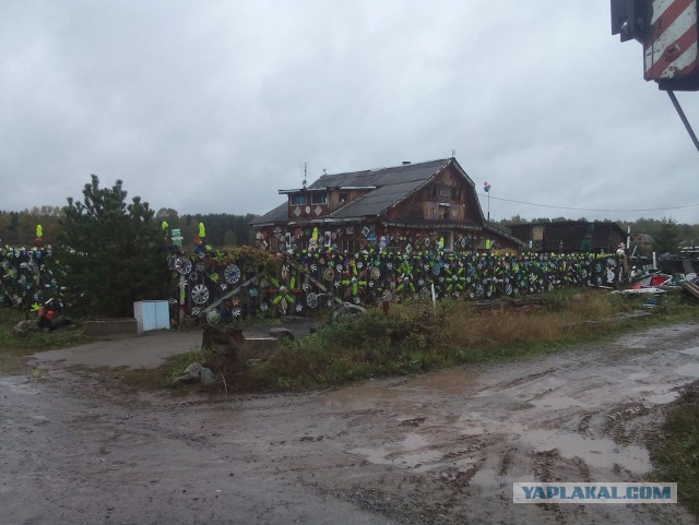 Сегодня раскрылась тайна колёсных колпаков.