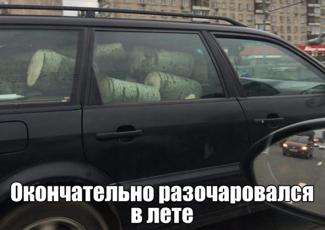 Смешные картинки