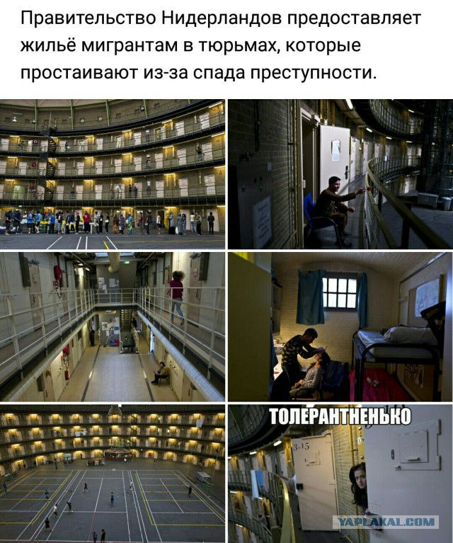 Подборка интересных и веселых картинок