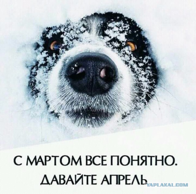 Шел 2 день весны!