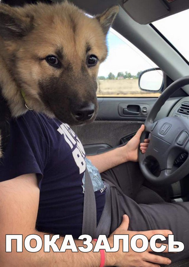Нестандартный юмор