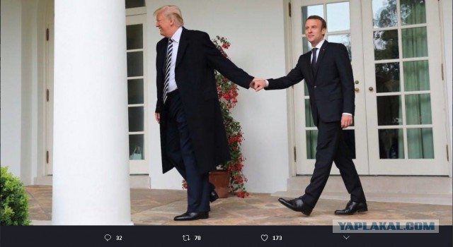 "Особенные отношения": Трамп стряхнул перхоть с Макрона