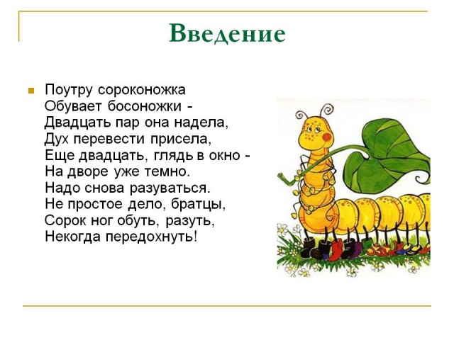 Многоножка разбудила туриста