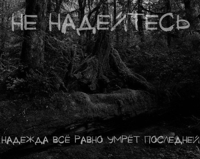 НеТЛЕНнные картинки