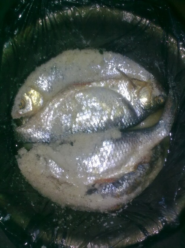 Сплошь и рядом разведенки