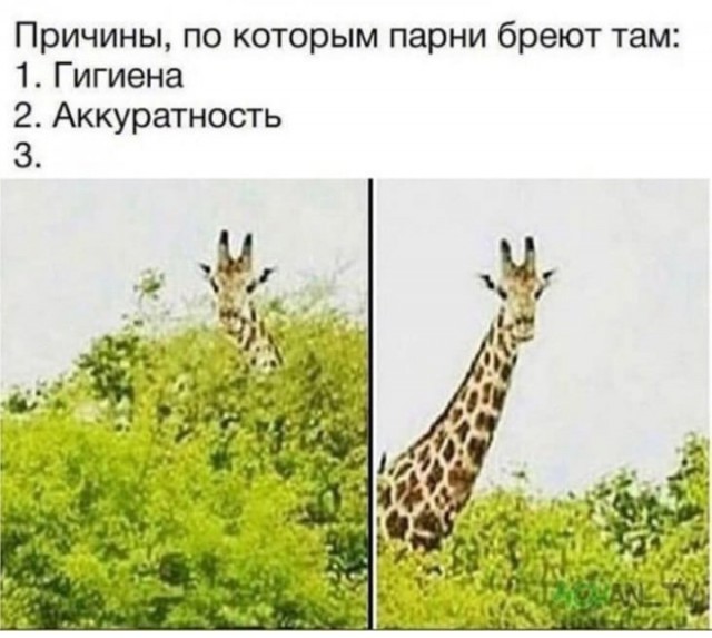 Поставил, блин, эксперимент
