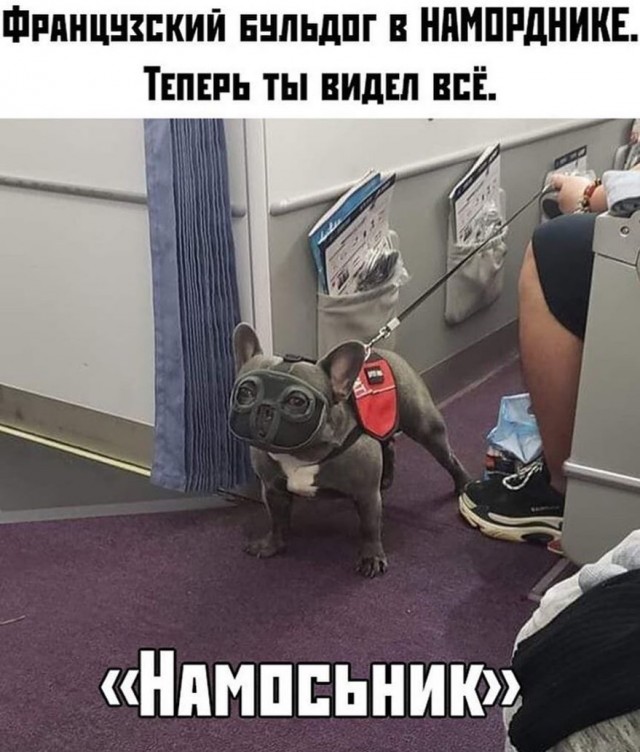 Кретинки