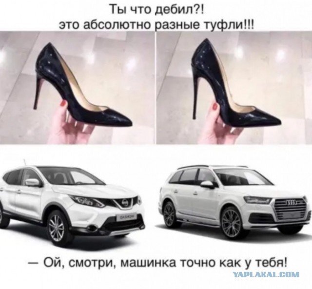 Немного картинок для настроения 12.02.20