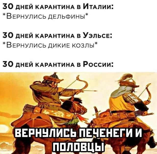 Печенеги, Половцы... Мемы