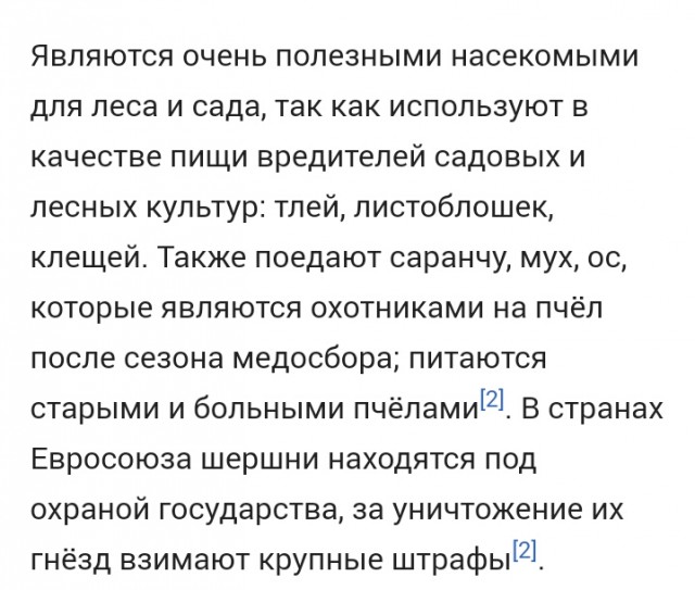 Удаление паразита у шершня!