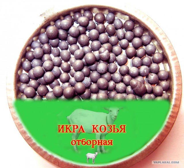 прикольные продукты
