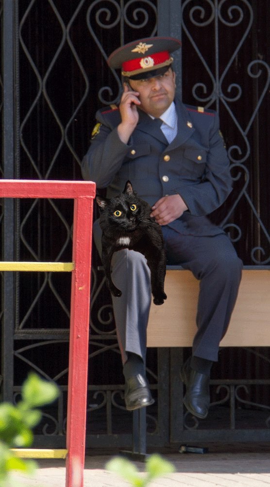 Фотожаба: Грустный...