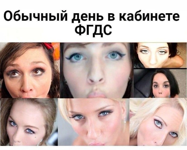 АХТУНГ! все на плановую деградацию!