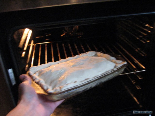 Все из рыбы!