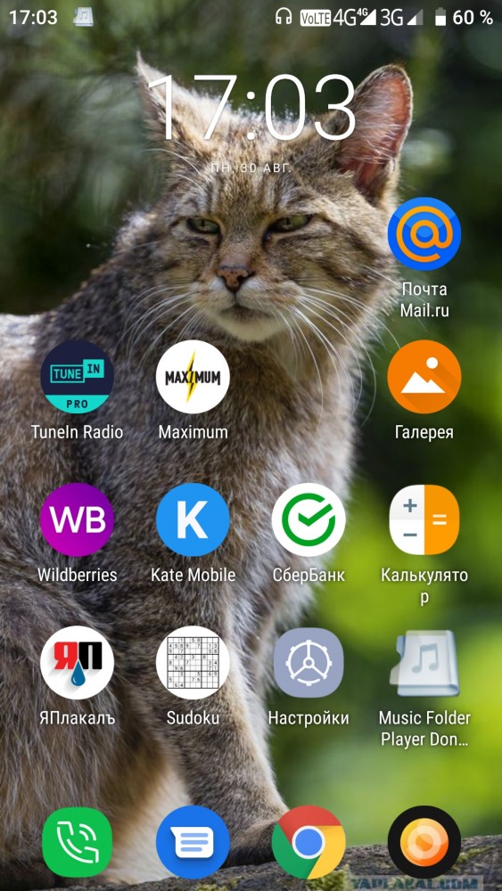 У кого что стоит на заставке телефона?