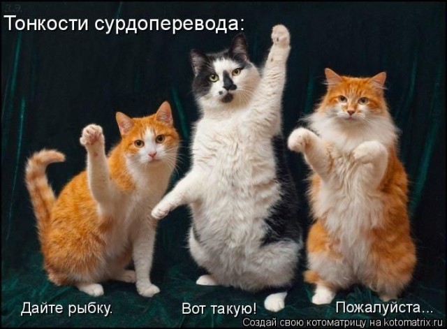 Сурдопереводчица не растерялась